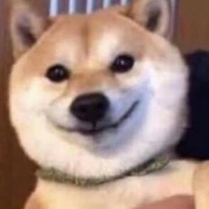 Meet your Posher, Tommy